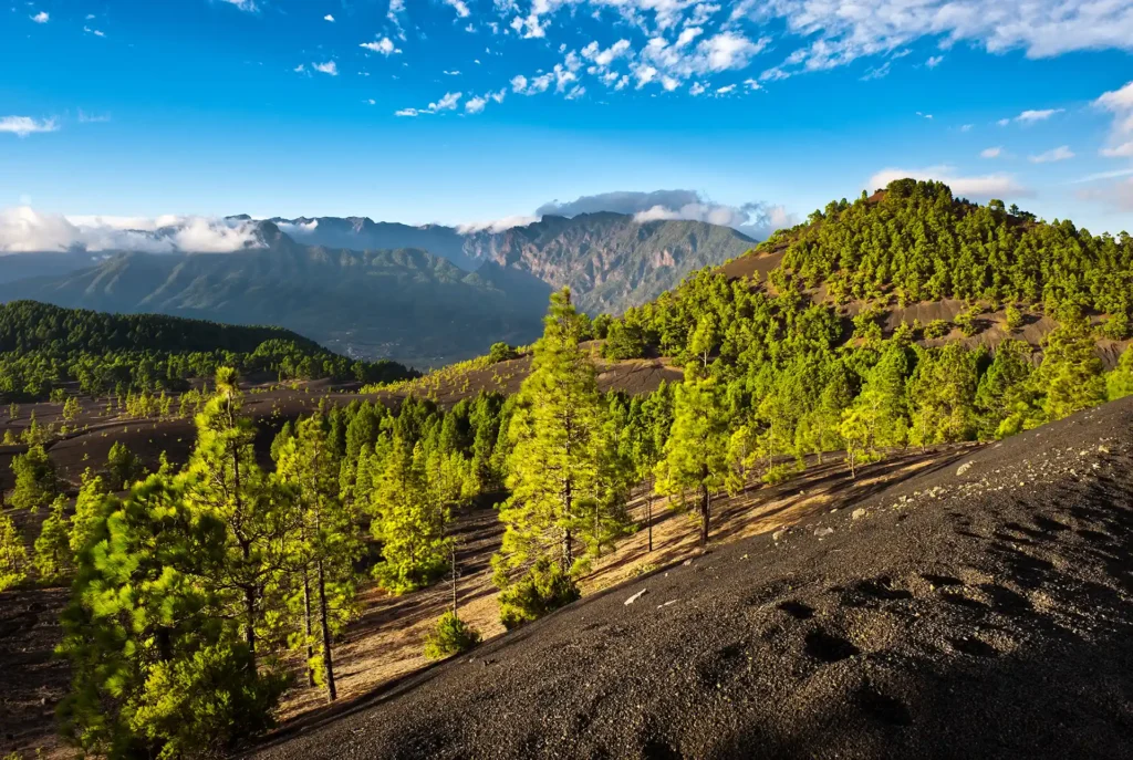 Welk Spaanse eiland, La Palma
