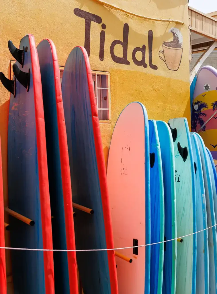 Excursies Agadir: Taghazout
