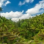 Ubud, culturele hart Bali