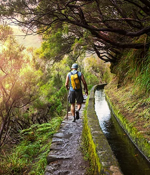 Doen Madeira Wandelen natuur