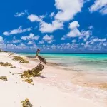 Stranden Bonaire