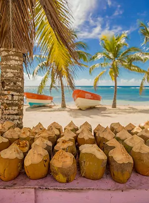 Dagtripjes Punta Cana, Dominicaanse Republiek