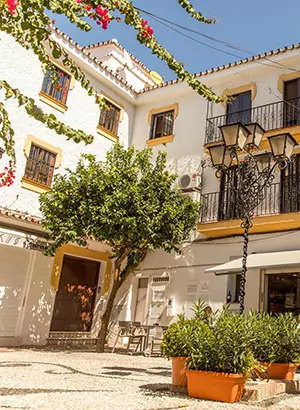 Leukste dagtripjes Torremolinos: Marbella