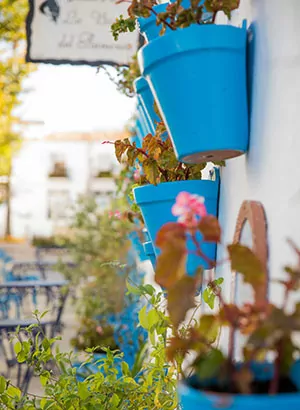 Leukste dagtripjes Torremolinos; Mijas