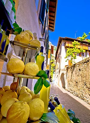 Limone sul Garda, citroenen