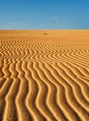 Excursies Fuerteventura: duinen