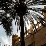 Wat te doen in Palma de Mallorca