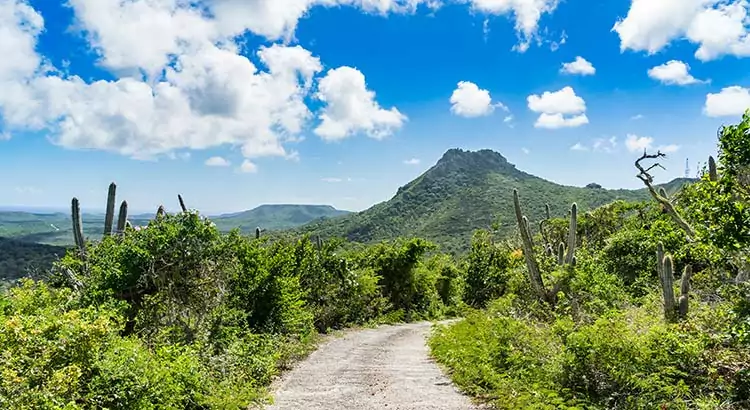 Christoffelpark Curaçao, met de hoogste berg, Christoffelberg