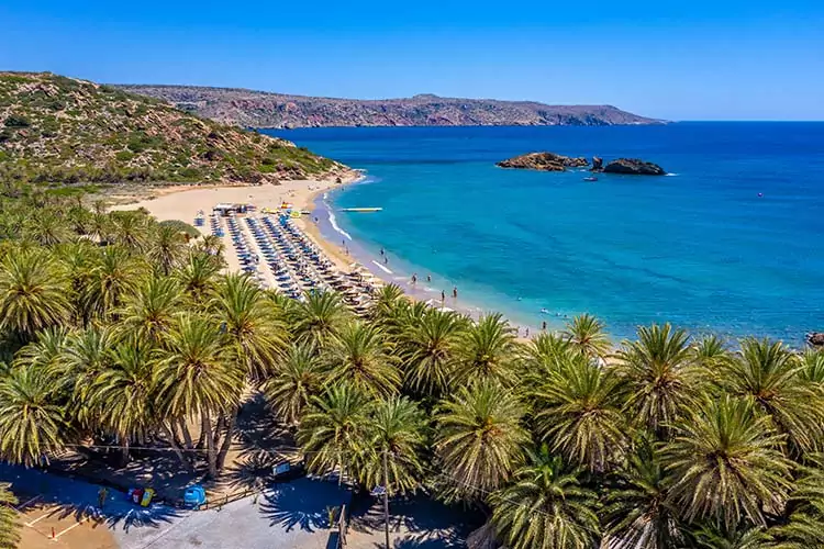 Bezienswaardigheden Kreta: Vai Beach