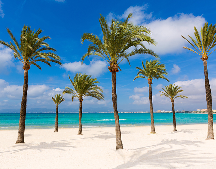 El Arenal: meer dan alleen een feestbestemming