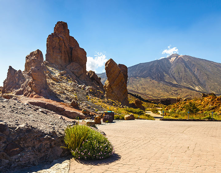 Meer zien tijdens een vakantie in Garachico?